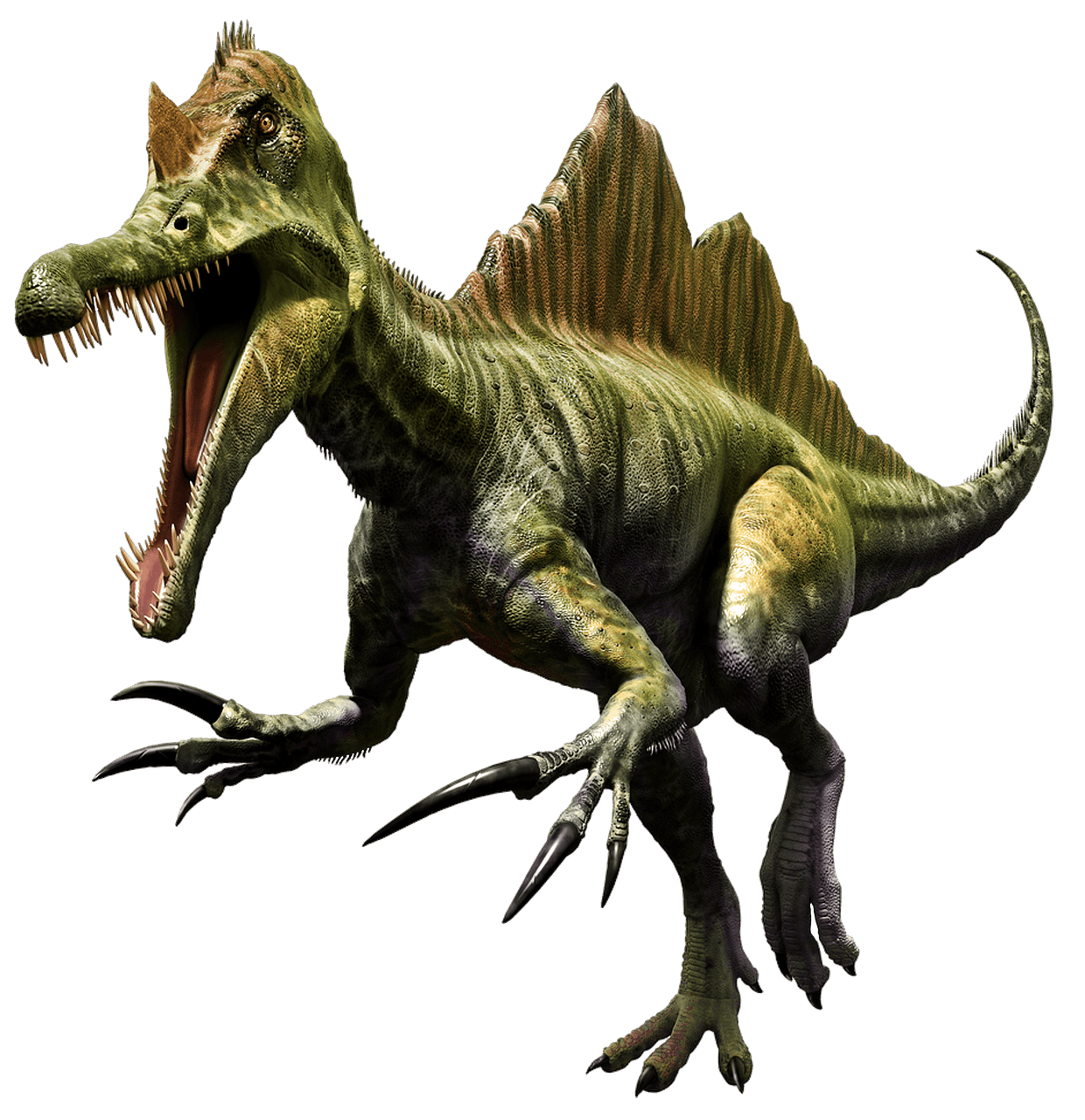 dinosaur, prehistoric, dino-3129391.jpg